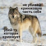 1000002753.jpg