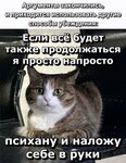фольгиня вн 3.jpg