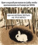 фольгиня вк 1.jpg