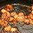 Жаренный курдючок